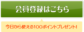 ϿϤʺȤ100ݥȥץ쥼ȡ