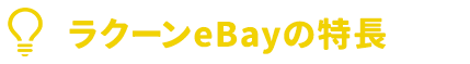 ラクーンeBayの特長